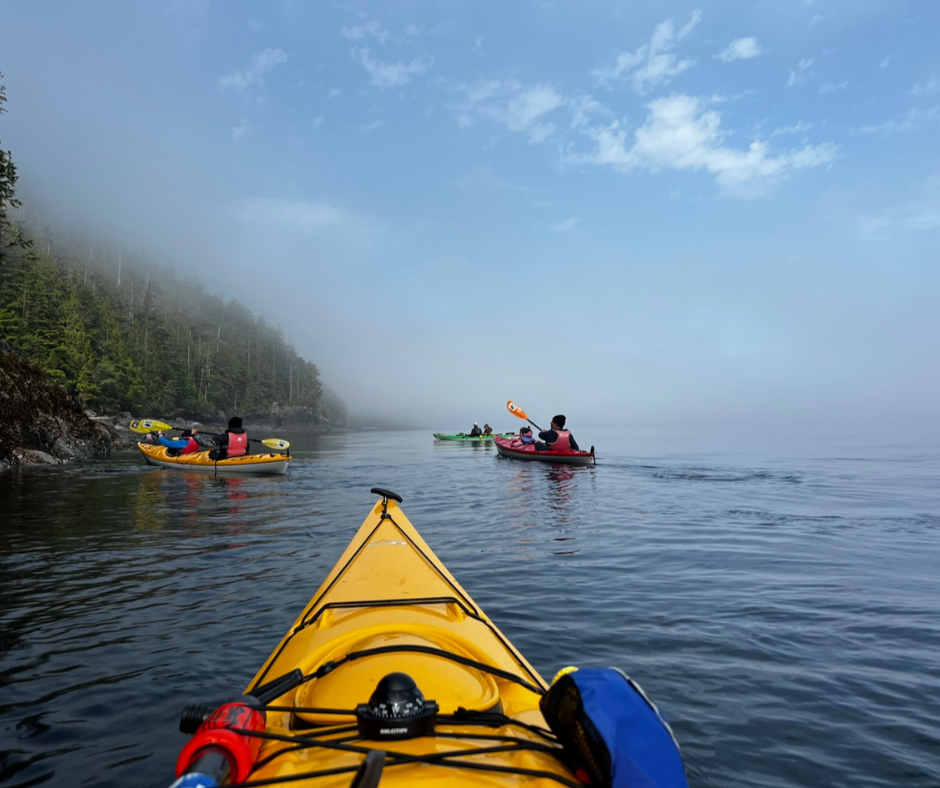 Grey Wolf Expeditions Kayak Orca Camp Vancouver Photo Gallery - 2023-09-30T001119.459