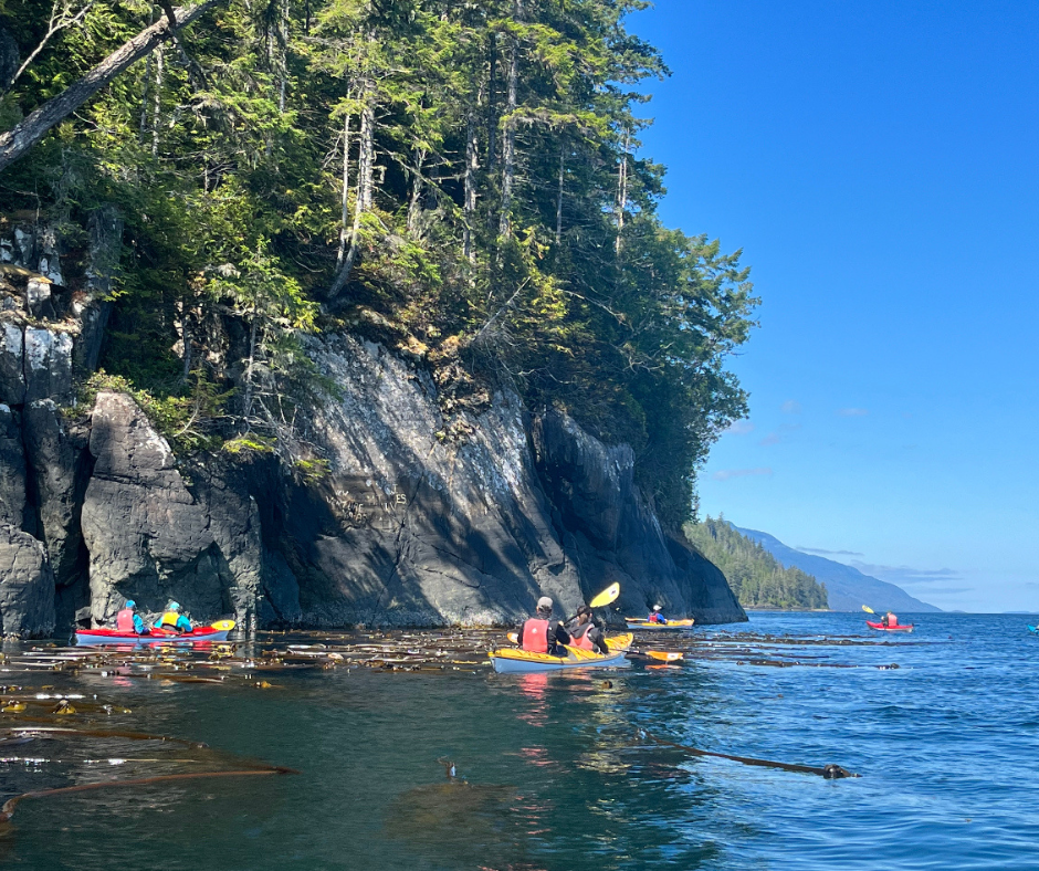Grey Wolf Expeditions Kayak Orca Camp Vancouver Photo Gallery - 2023-09-30T001135.290