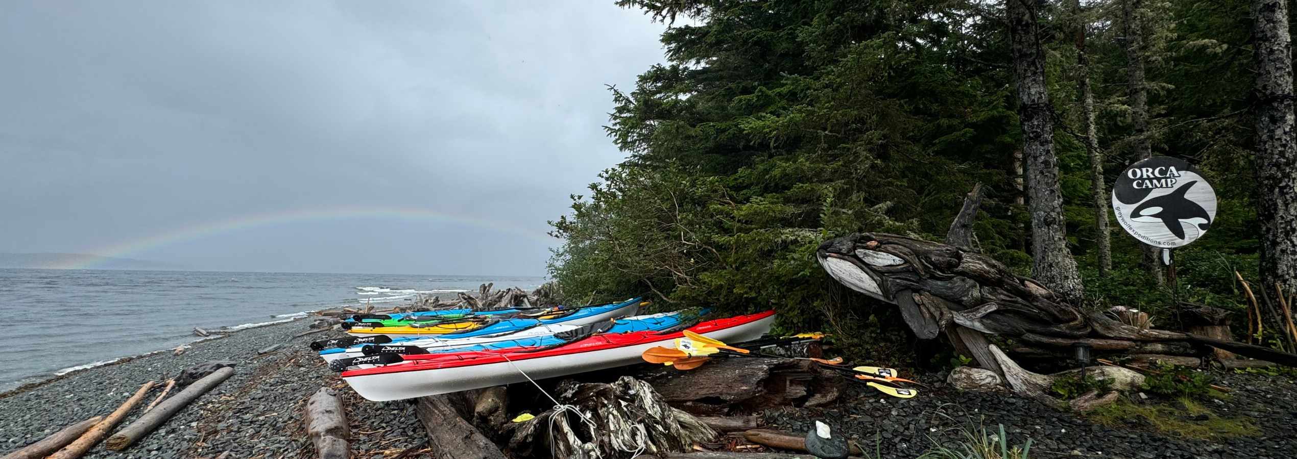 Grey Wolf Expeditions Kayak Orca Tours 2