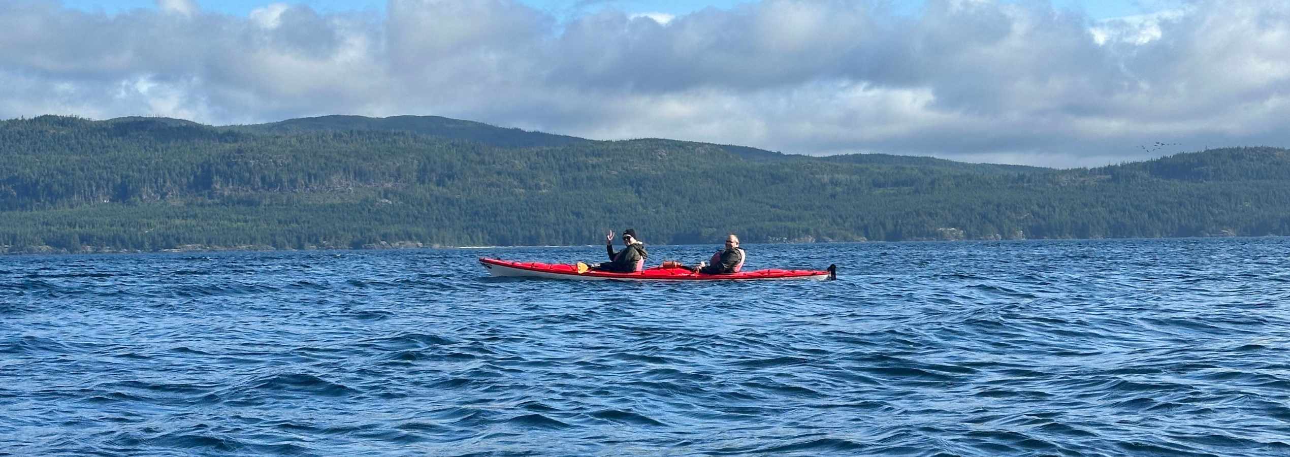 Grey Wolf Expeditions Kayak Orca Tours 4