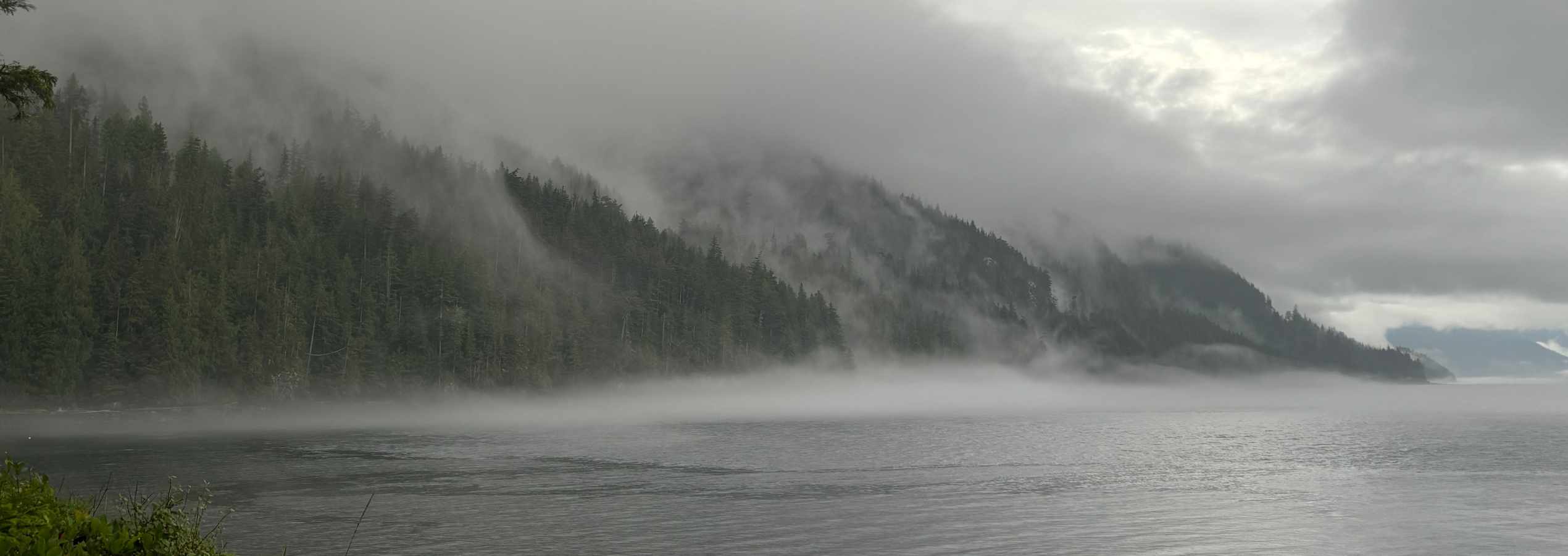 Grey Wolf Expeditions Kayak Orca Tours 6