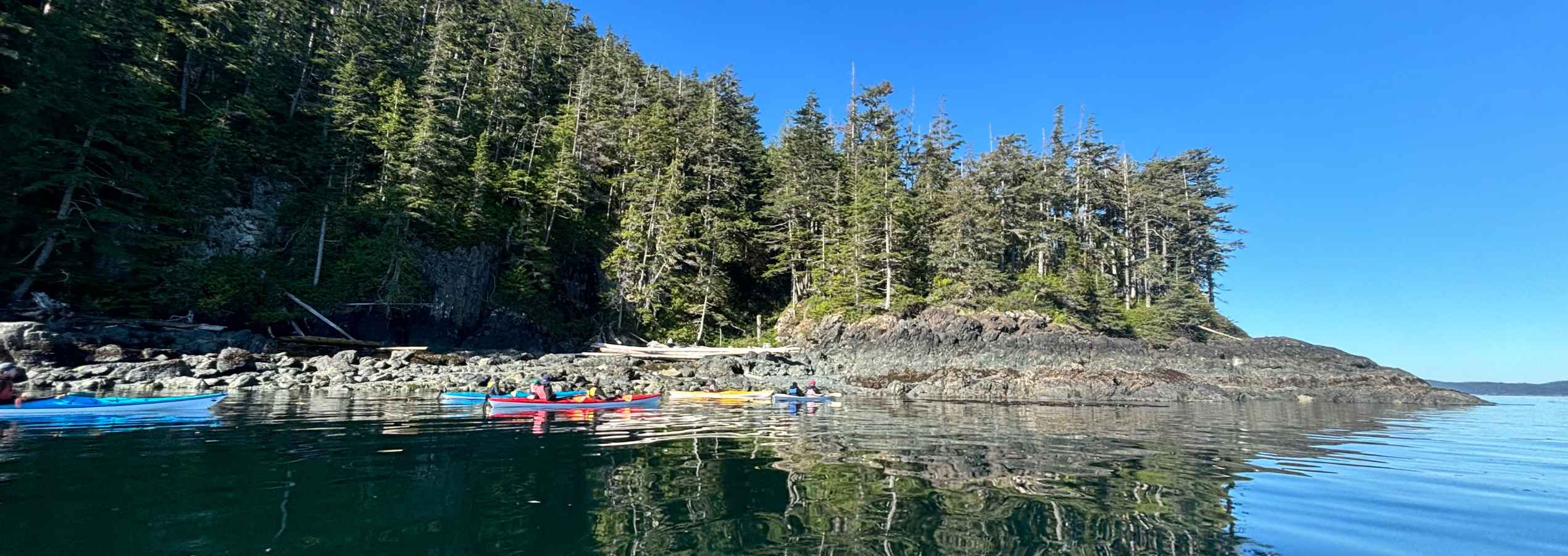 Orca Camp Vancouver Island 2