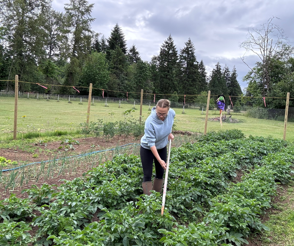 Farm to table Grey Wolf Expeditions Black Creek Vancouver Island 5