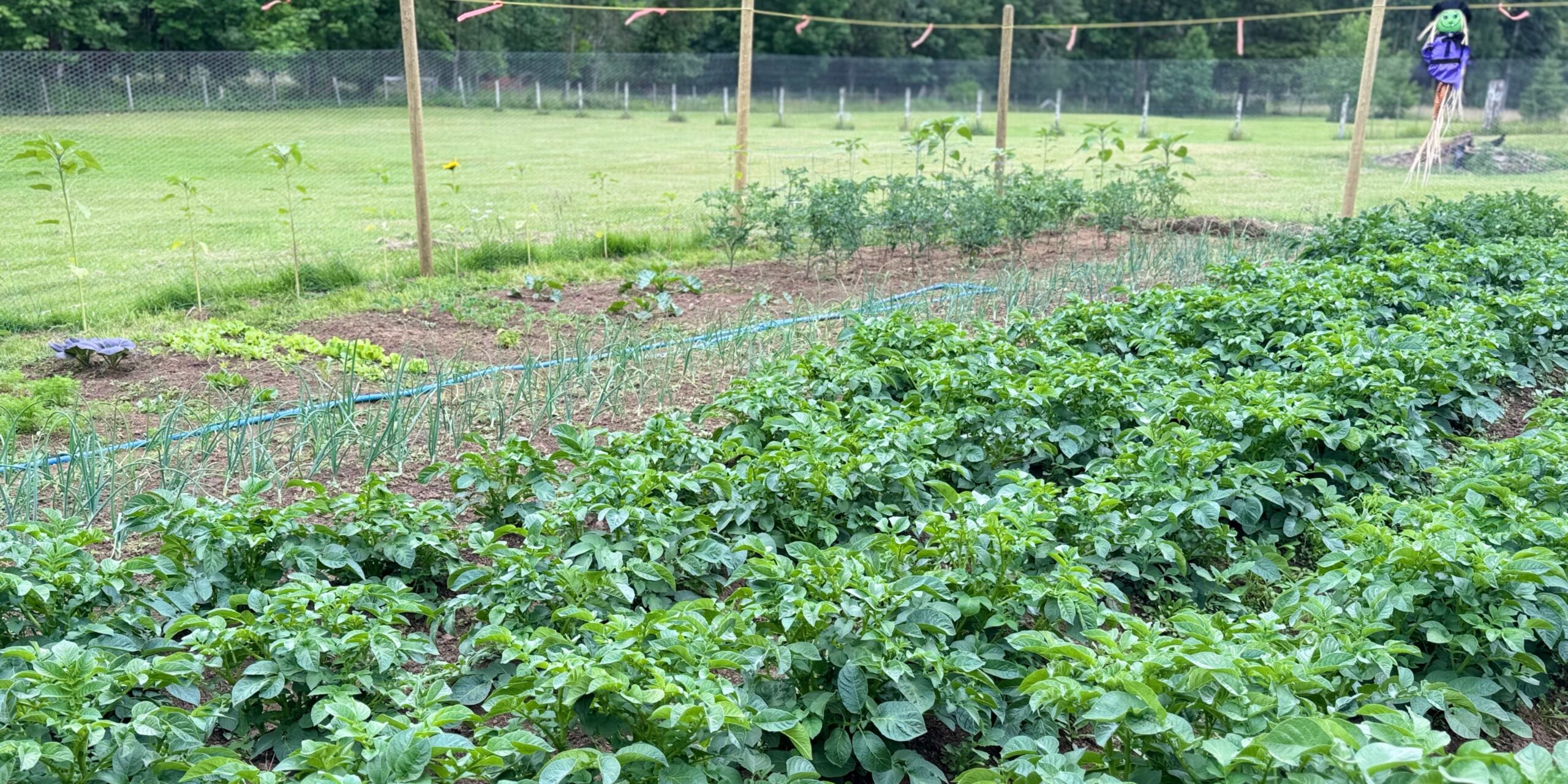 Farm to table kayak tours 2