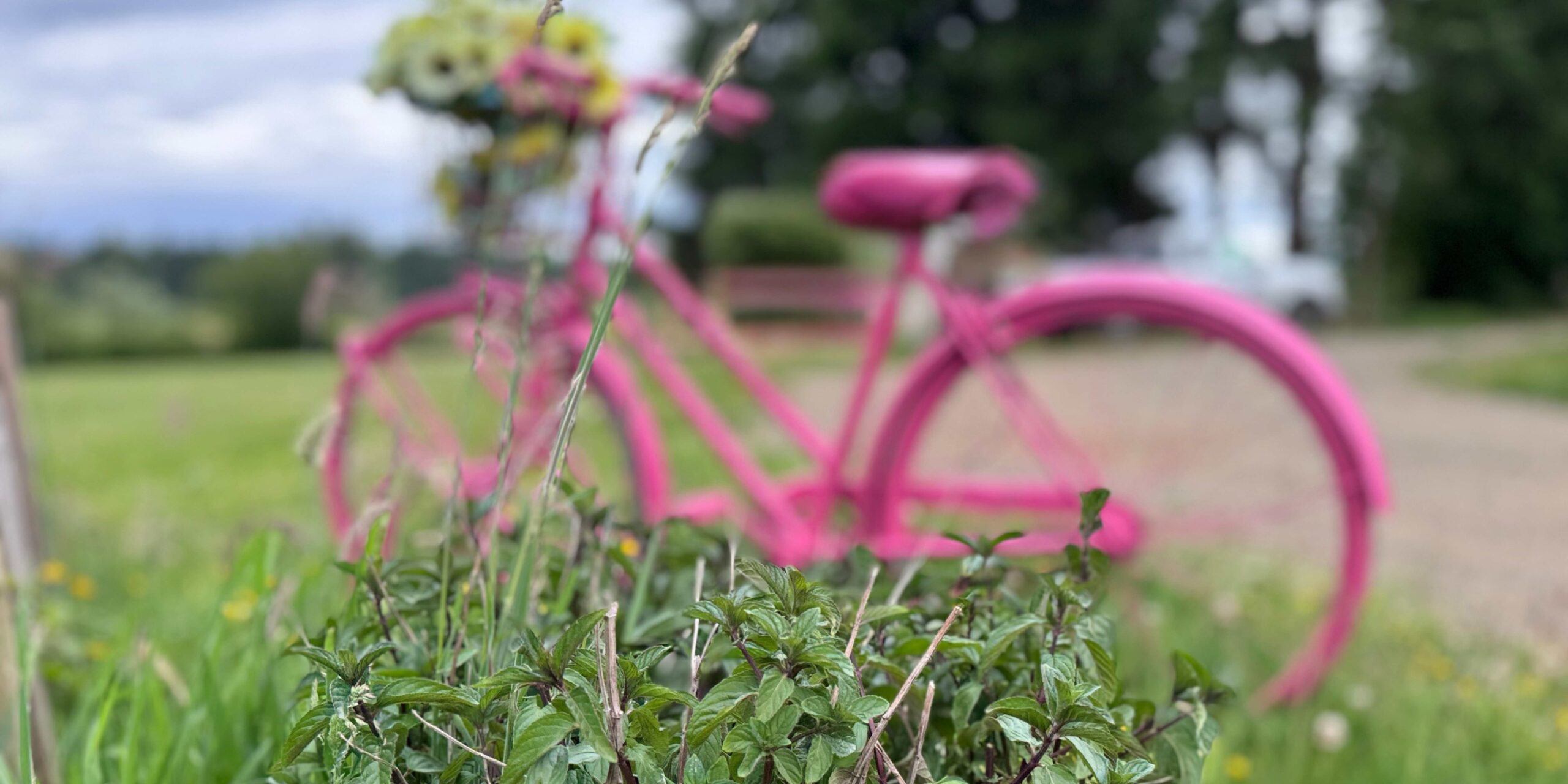 Farm to table kayak tours 5